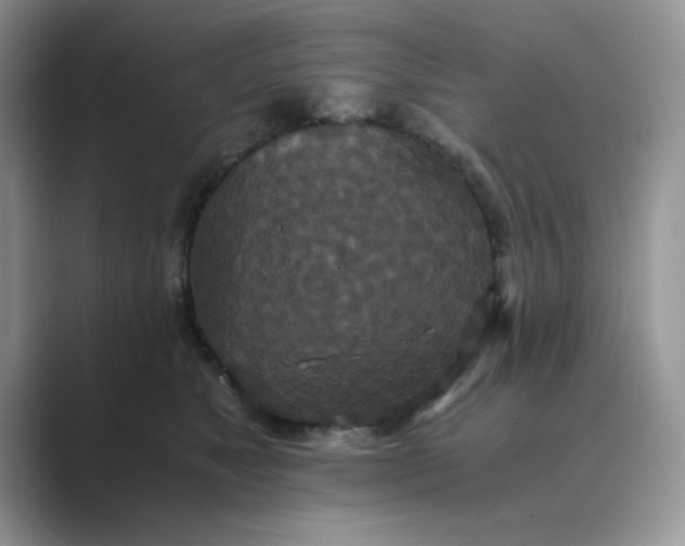 X0000089670517200707051551