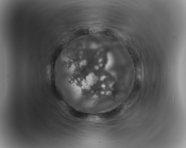 X0000089670519200707051551