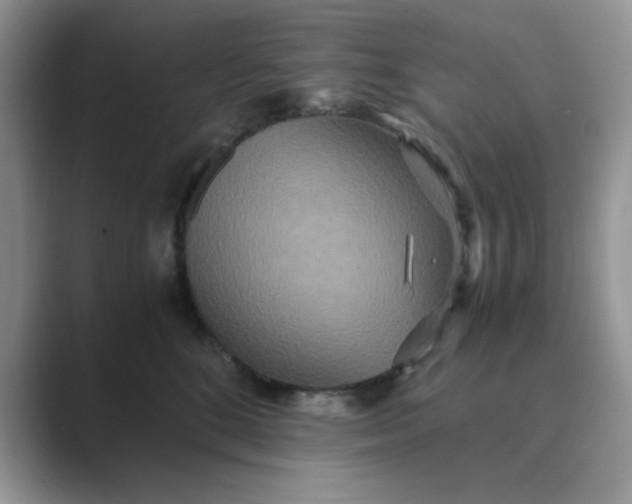 X0000089670520200707051551