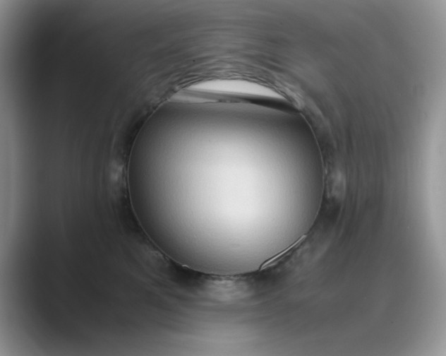 X0000089670521200707051551