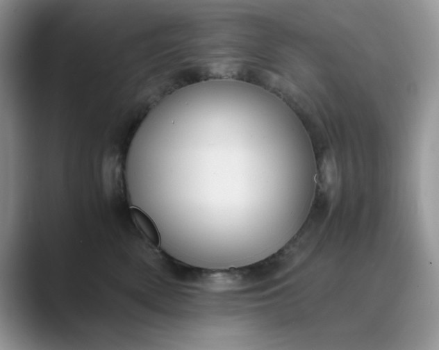 X0000089670522200707051551