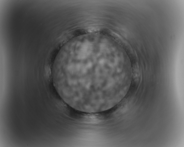 X0000089670523200707051551