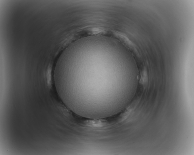 X0000089670524200707051551
