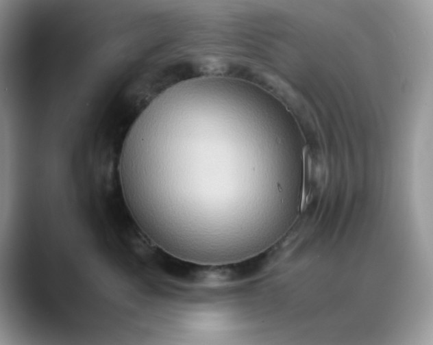 X0000089670525200707051550