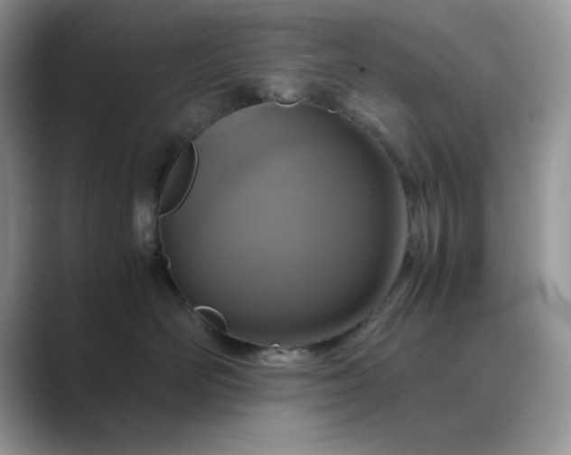 X0000089670526200707051550