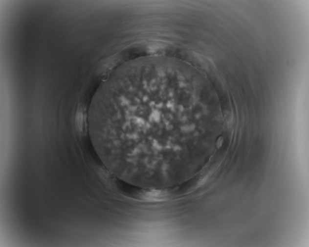 X0000089670527200707051550
