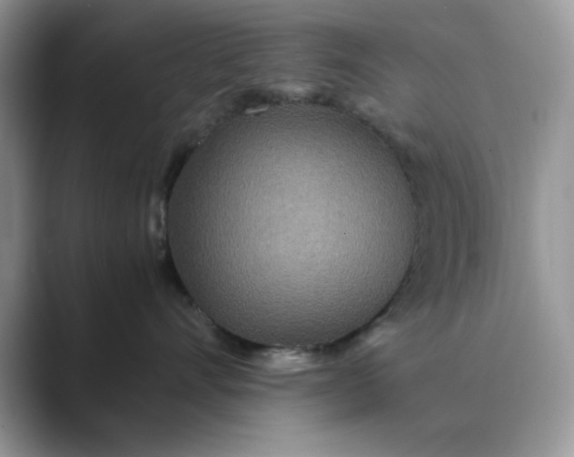X0000089670528200707051550