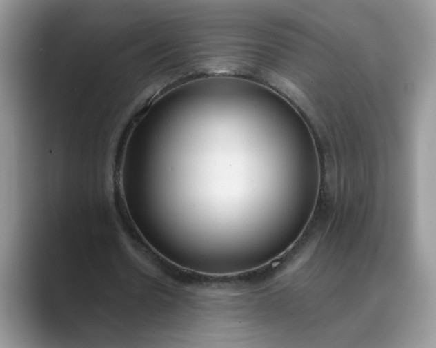X0000089670530200707051550