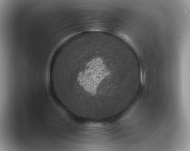 X0000089670531200707051550