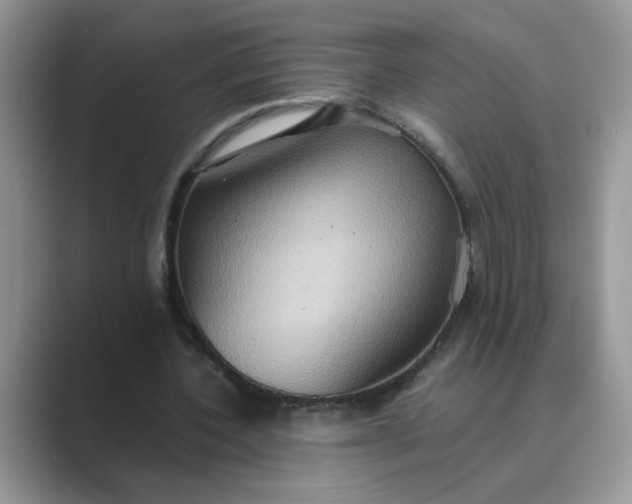 X0000089670532200707051550