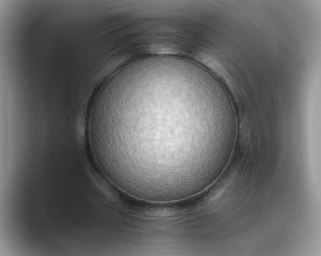 X0000089670533200707051550