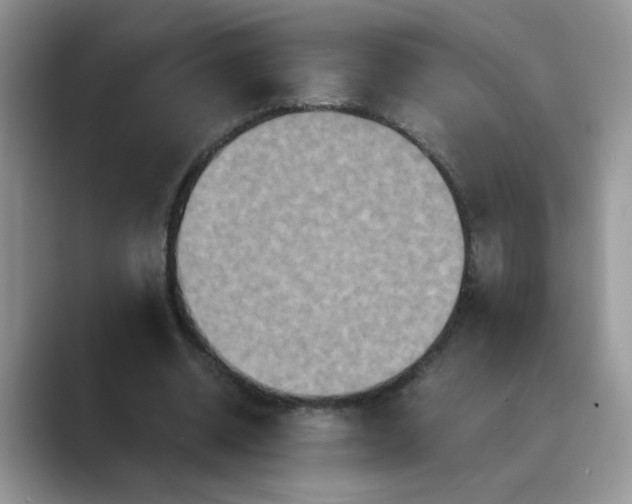X0000089670534200707051550