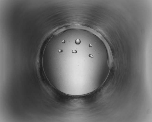 X0000089670536200707051550