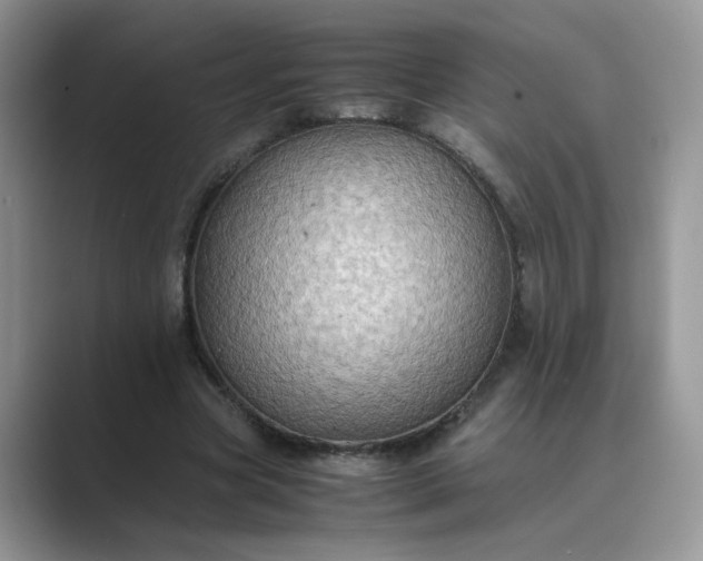 X0000089670537200707051550