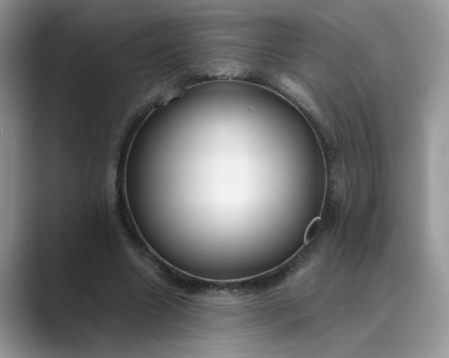 X0000089670538200707051550
