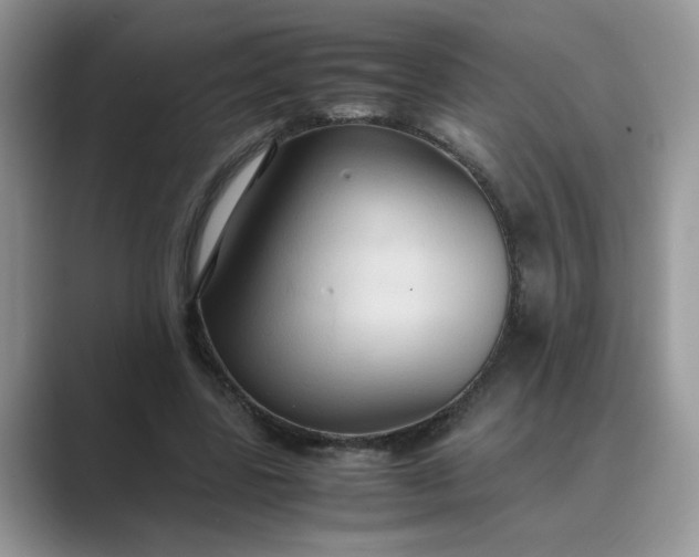 X0000089670539200707051550