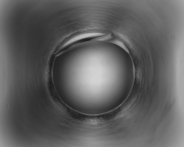 X0000089670540200707051550