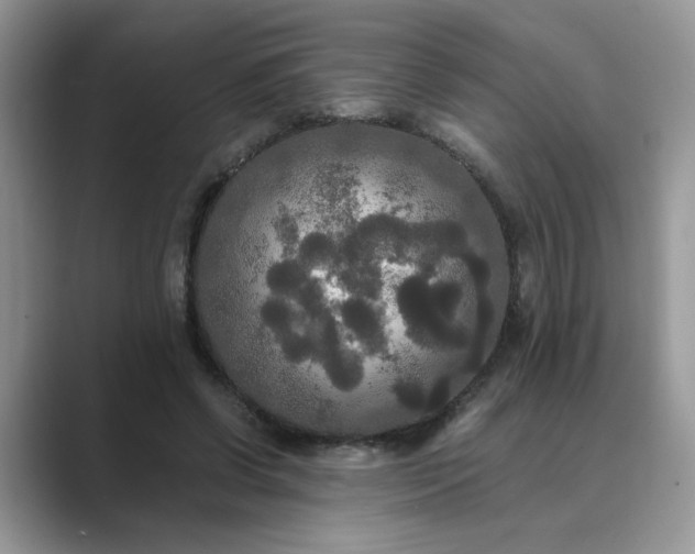 X0000089670542200707051550