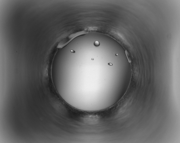 X0000089670543200707051550