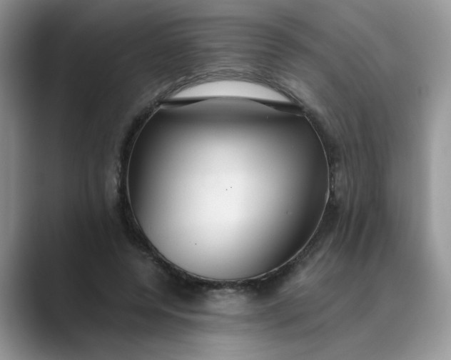 X0000089670544200707051550
