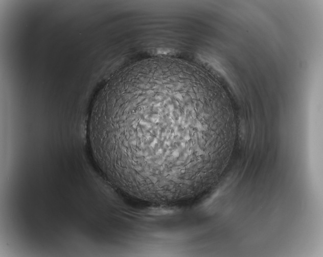 X0000089670545200707051550