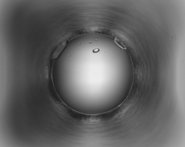 X0000089670546200707051550