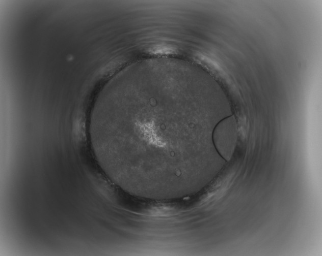 X0000089670547200707051550
