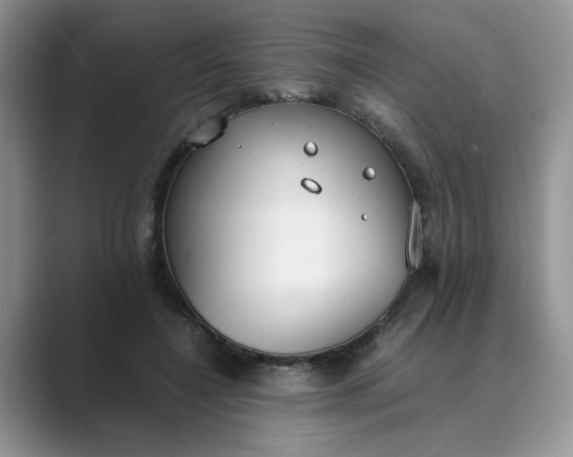 X0000089670548200707051550