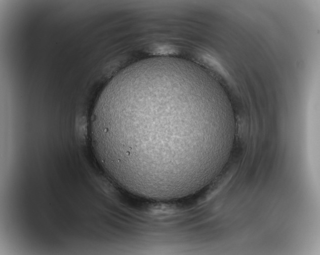 X0000089670549200707051550