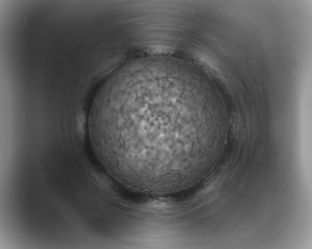 X0000089670550200707051550
