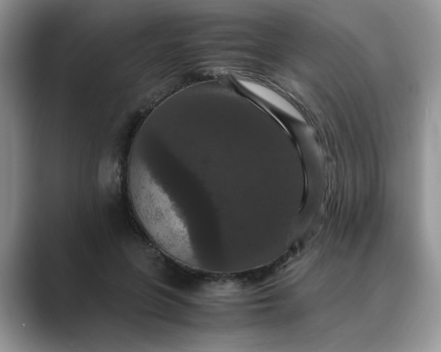X0000089670551200707051550