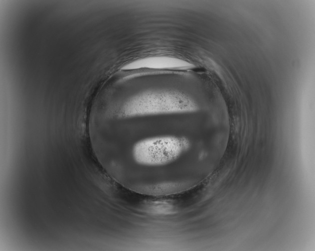X0000089670553200707051550