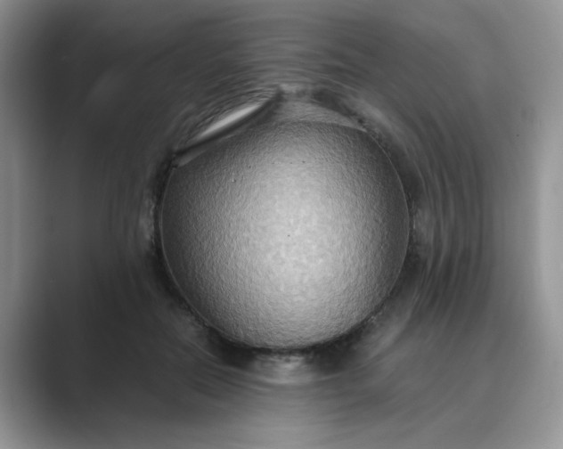 X0000089670554200707051550