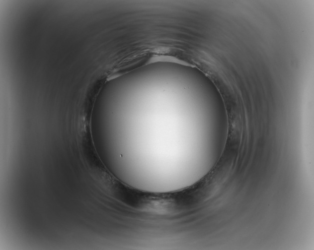 X0000089670555200707051550