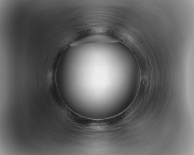 X0000089670556200707051550