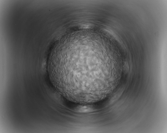 X0000089670557200707051550