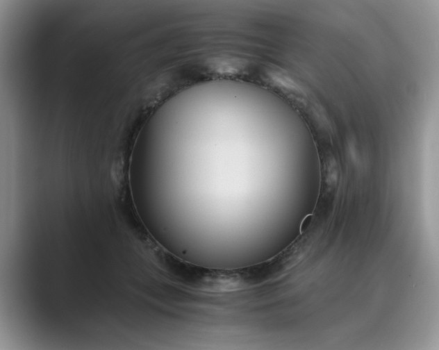 X0000089670559200707051550