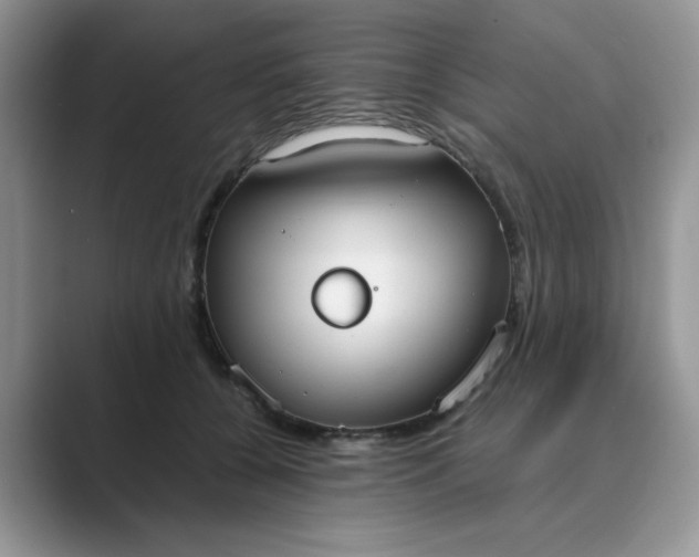 X0000089670560200707051550