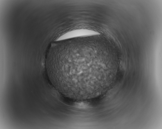 X0000089670561200707051550