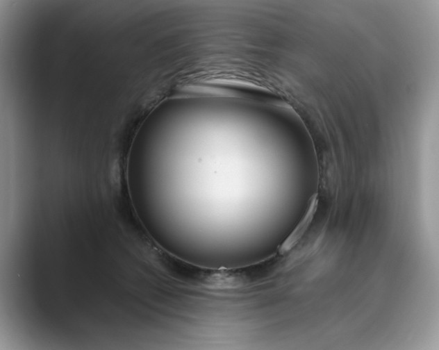 X0000089670562200707051550
