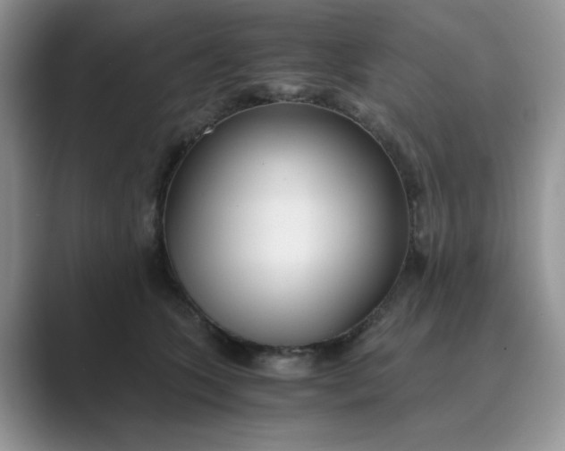 X0000089670563200707051550