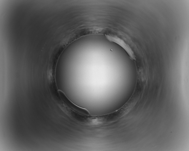 X0000089670564200707051550