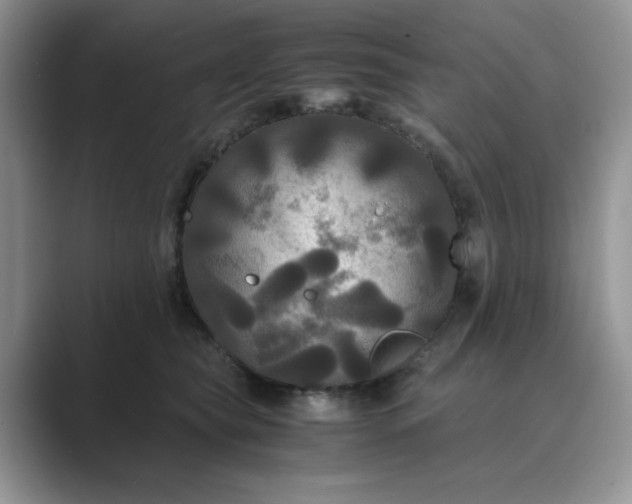 X0000089670565200707051550