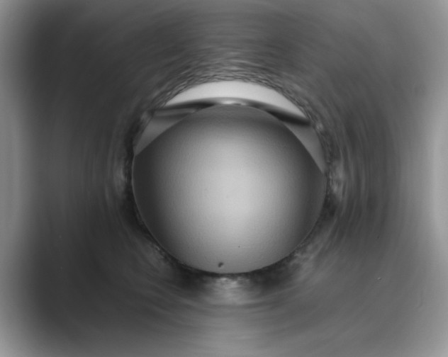 X0000089670566200707051550