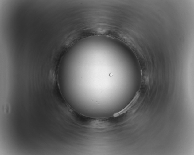 X0000089670568200707051550