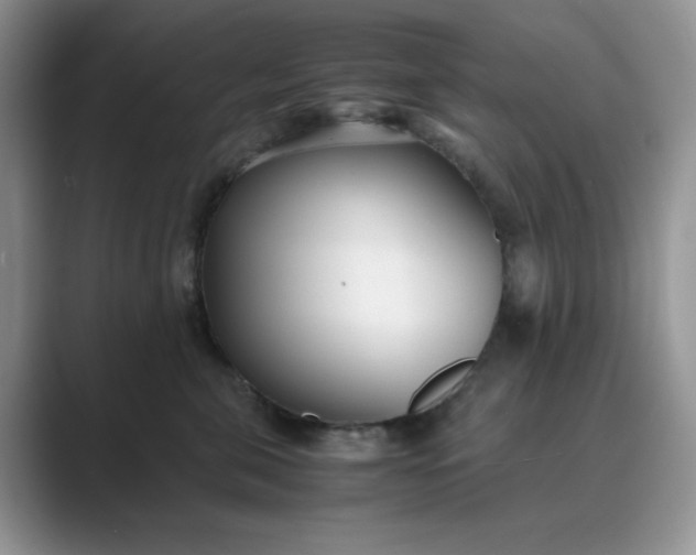 X0000089670571200707051550