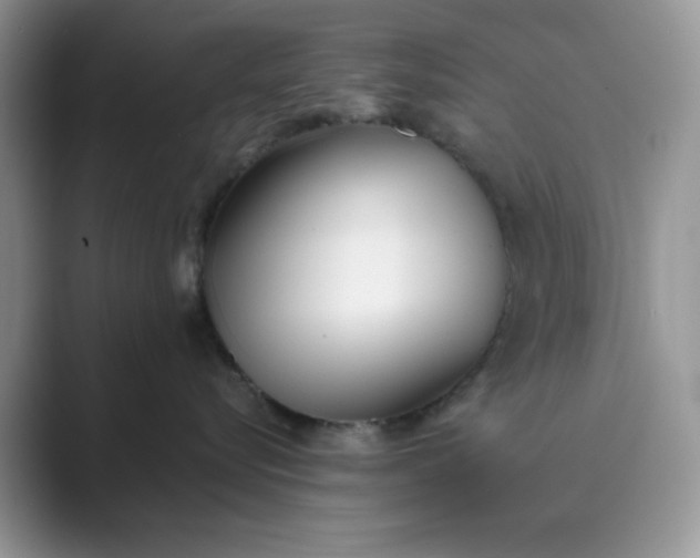 X0000089670576200707051550