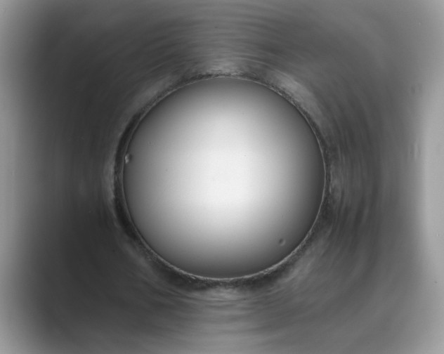 X0000089670578200707051550