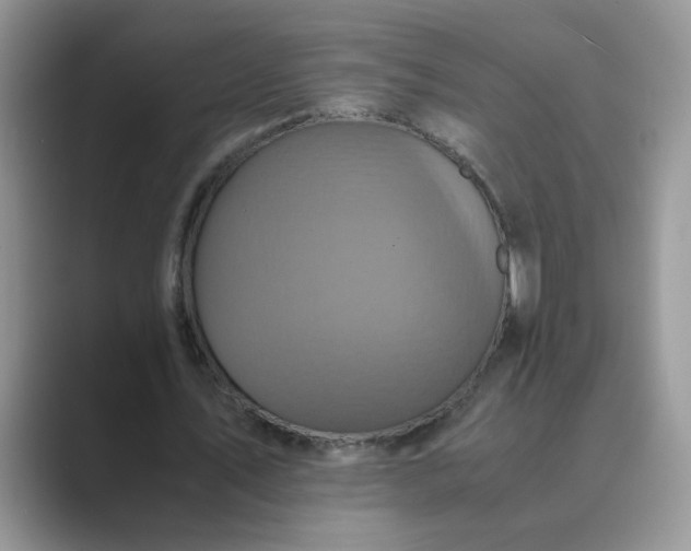 X0000089670579200707051550