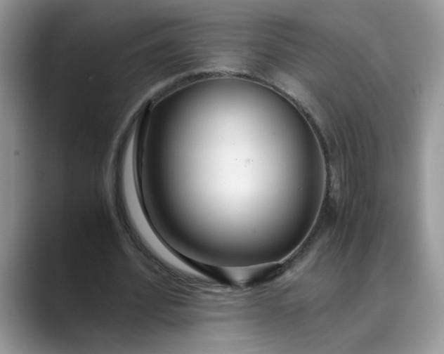 X0000089670580200707051550
